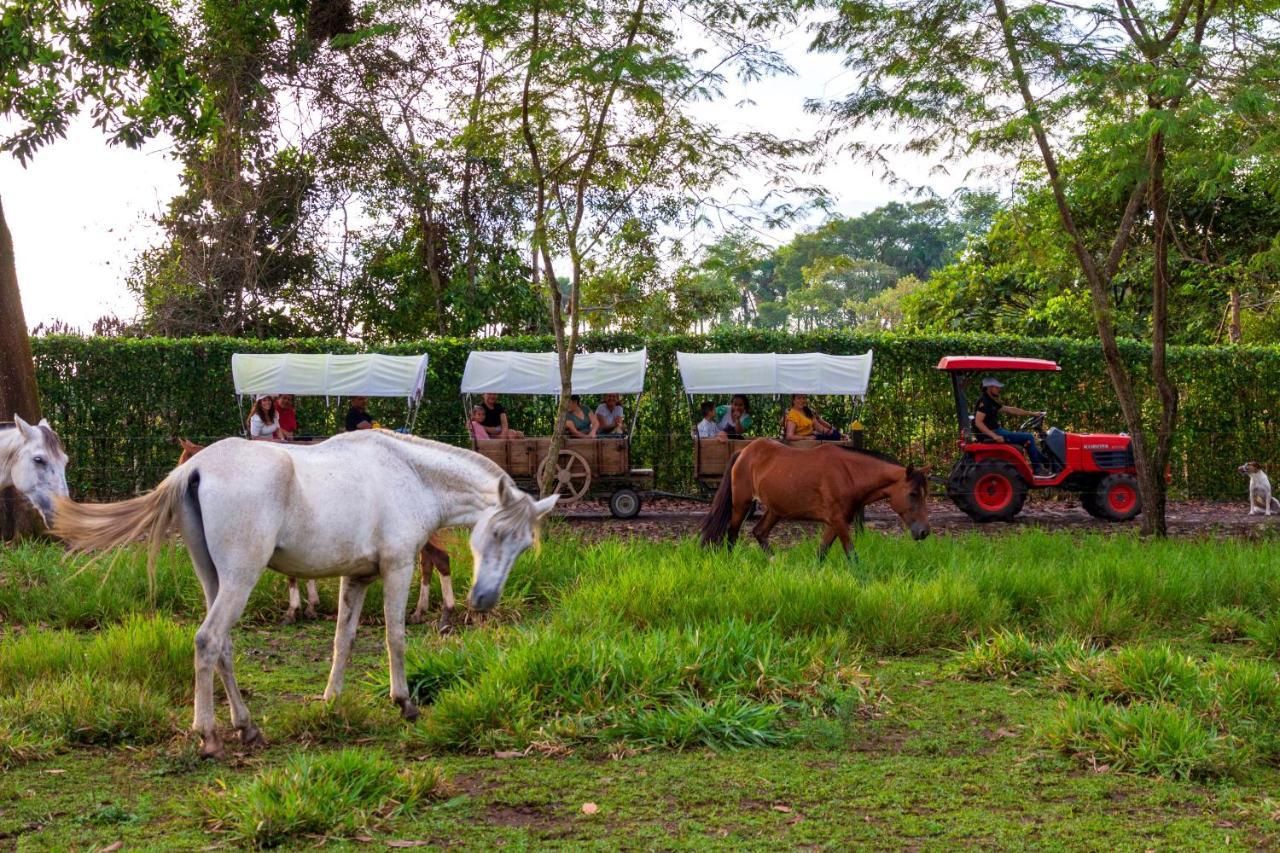 Hotel Campestre La Potra Apiay Ngoại thất bức ảnh