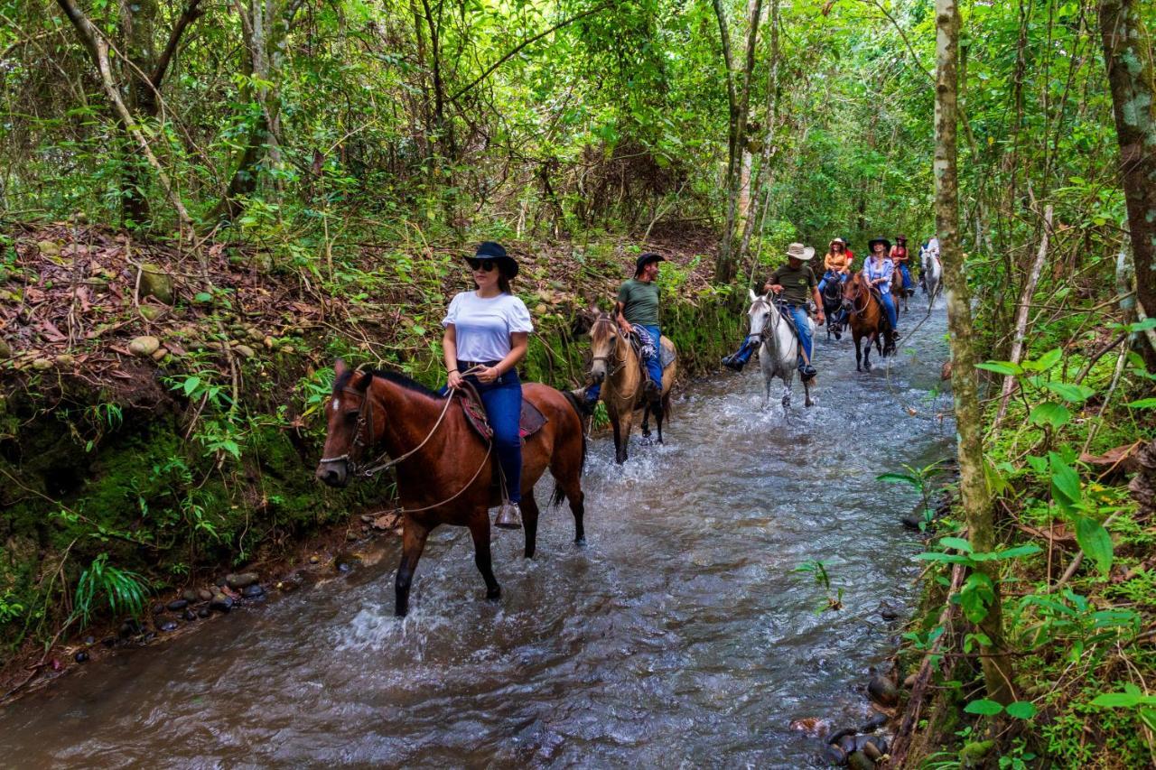 Hotel Campestre La Potra Apiay Ngoại thất bức ảnh