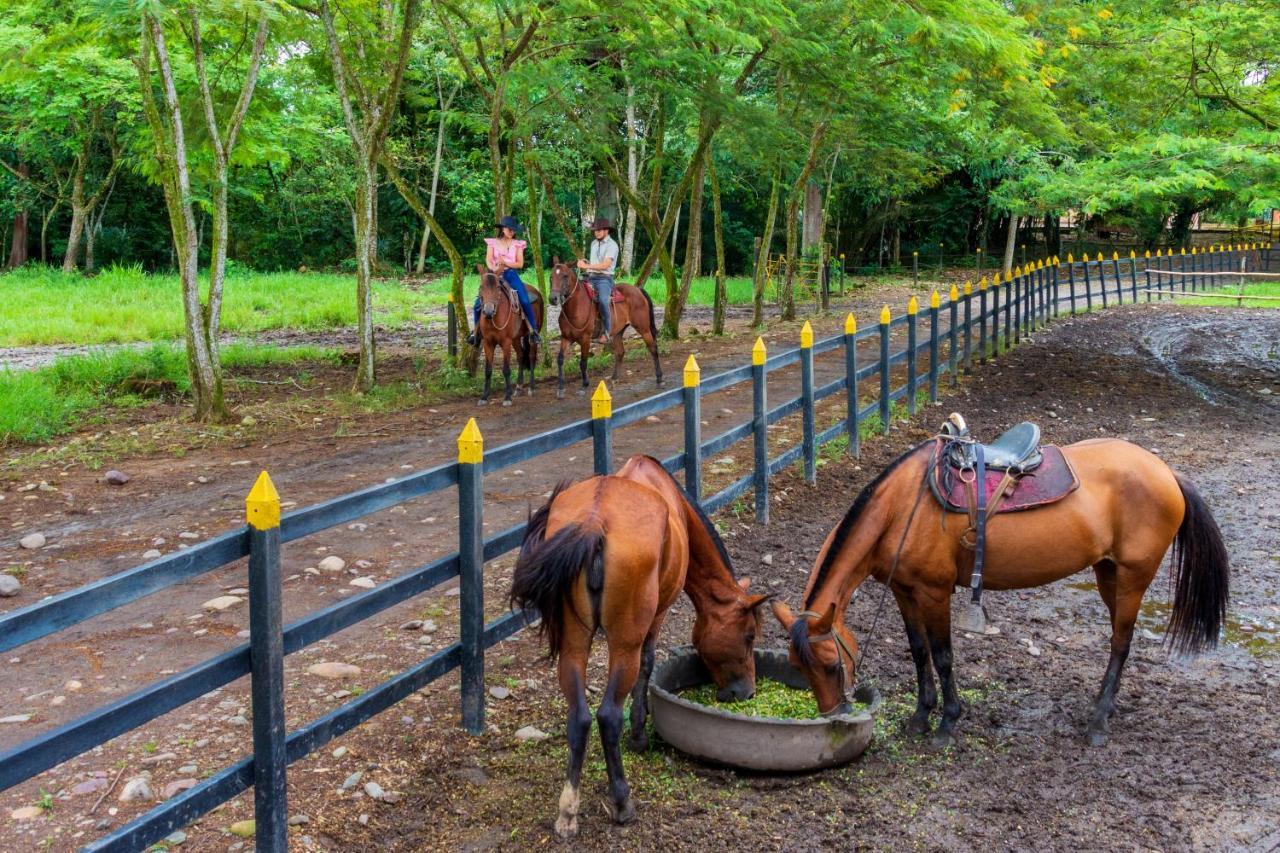 Hotel Campestre La Potra Apiay Ngoại thất bức ảnh