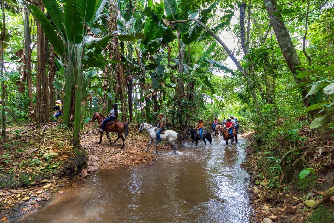 Hotel Campestre La Potra Apiay Ngoại thất bức ảnh