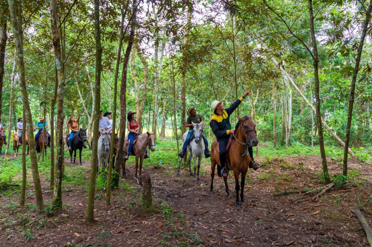 Hotel Campestre La Potra Apiay Ngoại thất bức ảnh