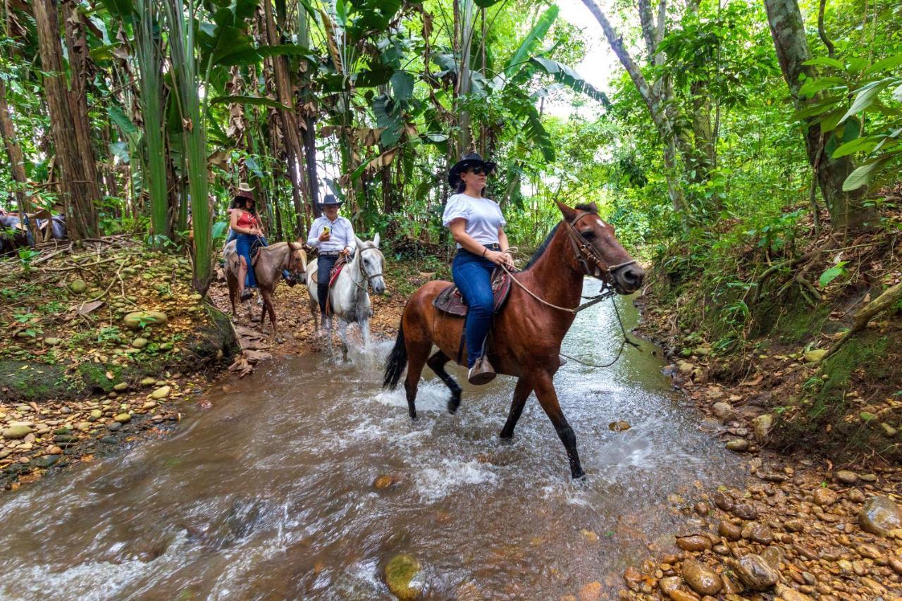Hotel Campestre La Potra Apiay Ngoại thất bức ảnh